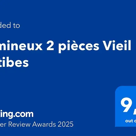 Lumineux 2 Pieces Vieil Apartment Antibes